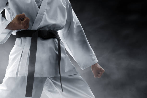 Zona ARTES MARCIALES cantos hero